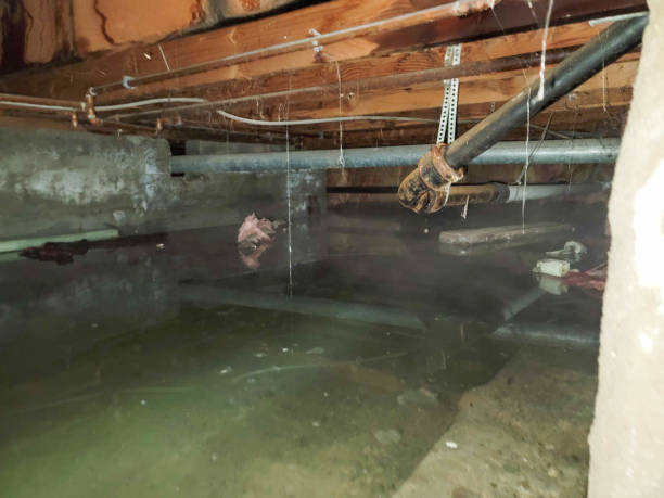 Fire Damage Restoration in South Farmingdale, NY