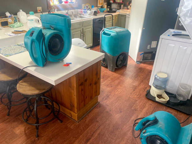 Best Flood damage cleanup  in South Farmingdale, NY