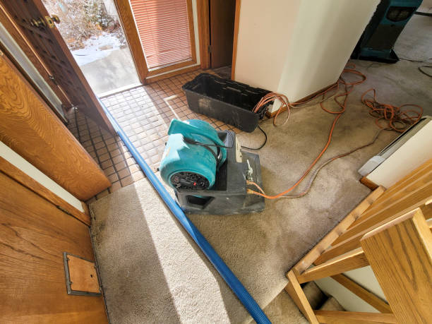 Best Commercial water damage restoration  in South Farmingdale, NY