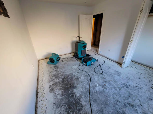 Best Water damage cleanup near me  in South Farmingdale, NY